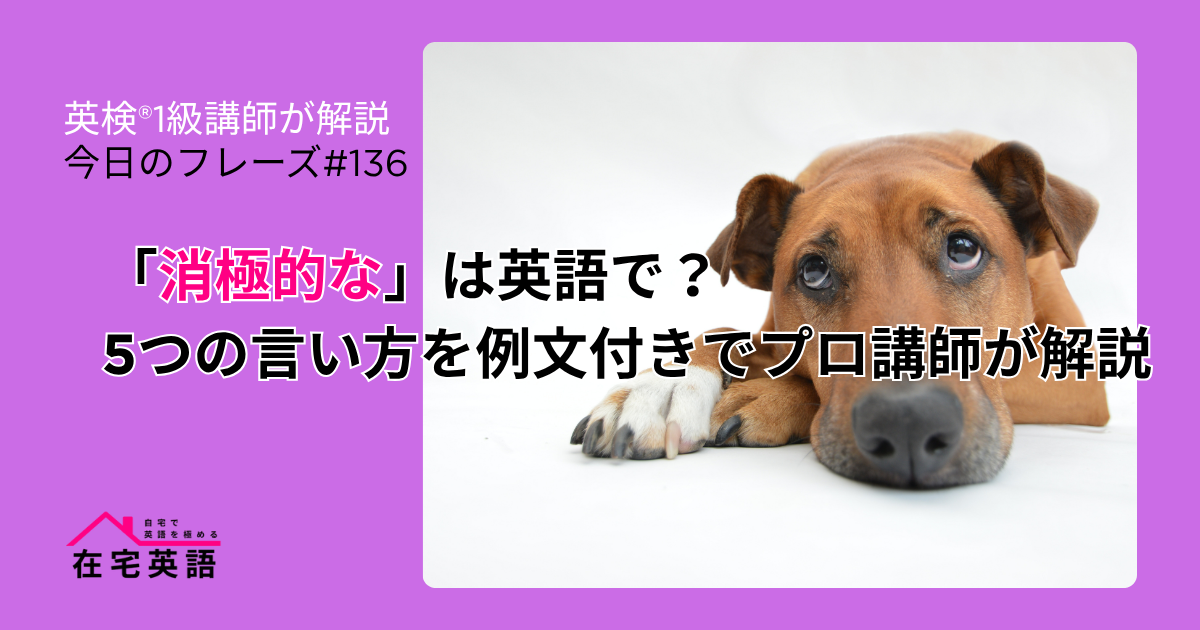 消極的な犬の写真。「消極的な」は英語で？5つの言い方を例文付きでプロ講師が解説