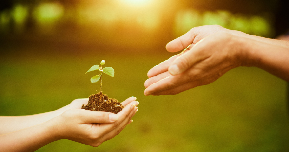 メッセージのイメージ画像。【まとめ】オンライン英会話を活用して英検®1級に合格しよう